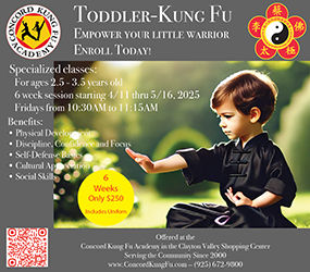 Toddler kung fu ad